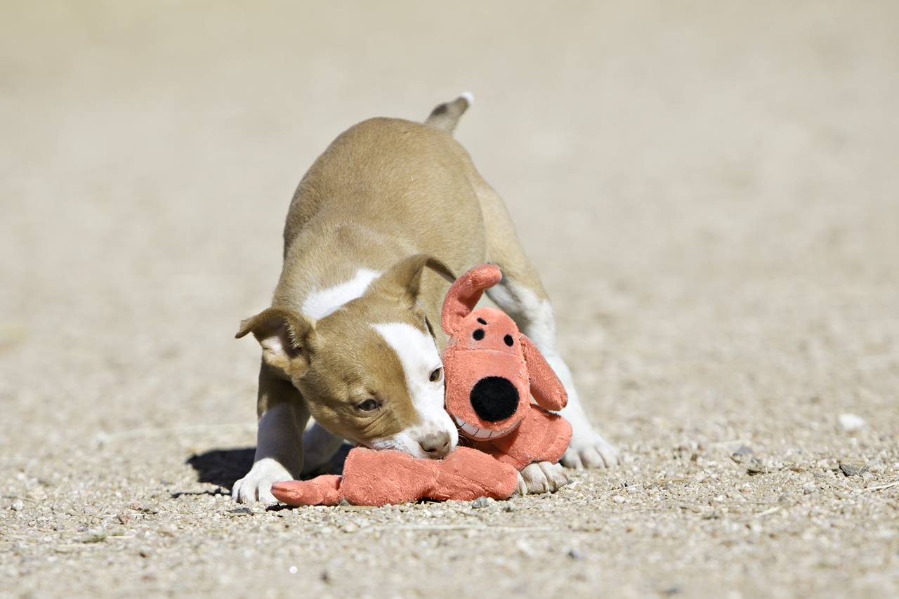 LOOfA Pieper Mat